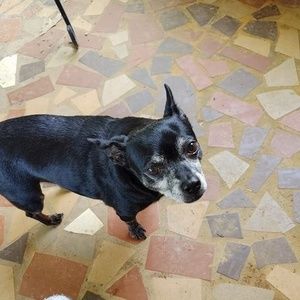 Meet your Posher, Valita marie